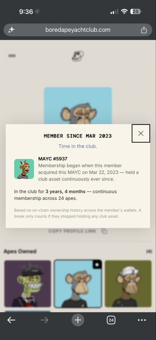 A mobile screenshot from boredapeyachtclub.com showing a profile for MAYC #5937, indicating the membership began on Mar 22, 2023, with 'In the club for 3 years, 4 months — continuous membership across 24 apes,' and showing the 'Apes Owned' gallery below.