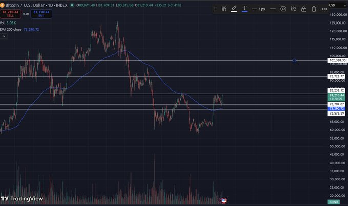 A TradingView candlestick chart for Bitcoin / U.S. Dollar (BTCUSD) showing the current price at $81,210.44, with a 1-day timeframe and an EMA 200 close indicator at 73,200.72.