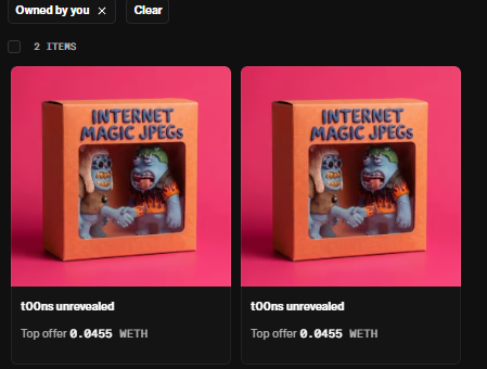 An NFT marketplace interface showing two identical 't00ns unrevealed' collectibles titled 'INTERNET MAGIC JPEGS' with cartoon characters on pink backgrounds, each with a top offer of 0.0455 WETH.