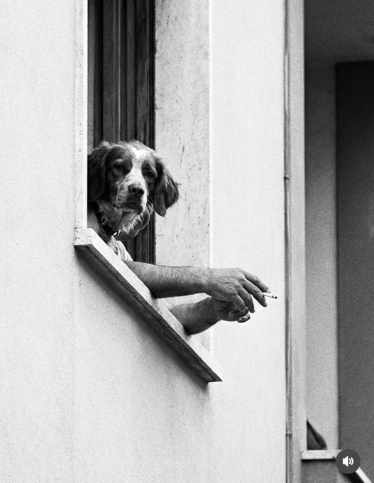 A black and white photograph showing a dog with long ears looking out of an open window alongside a person's hands holding a lit cigarette over the window ledge.