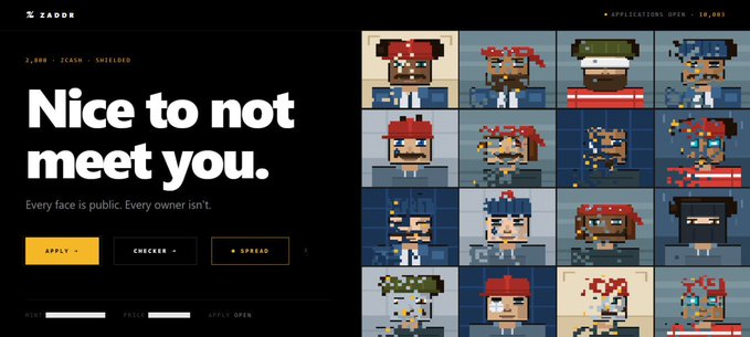 A dark-themed website titled 'ZADOR' displays the headline 'Nice to not meet you' with the tagline 'Every face is public. Every owner isn't' alongside pixel-art character portraits.