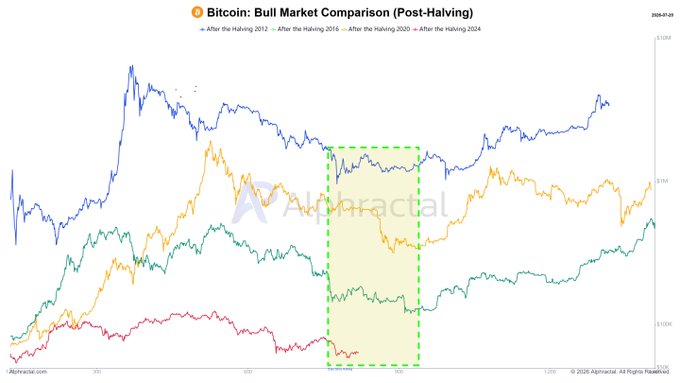 The image, titled "Bitcoin: Bull Market Comparison (Post-Halving)," displays four overlapping price charts tracking BTC's performance after each halving event (2012, 2016, 2020, and 2024), with a green dashed box highlighting the approximate current post-halving window where prior cycles historically hit their deepest pullbacks—visually reinforcing the post's claim that Bitcoin is now in the same timeframe where previous bull markets endured significant drawdowns before resuming their uptrend.