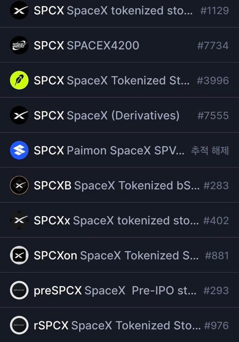 A list of tokenized SpaceX assets including SPCX, SPCXB, SPCXx, SPCXon, preSPCX, and rSPCX with their respective ID numbers.