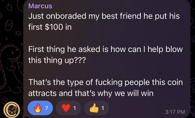 A screenshot of a Discord message from "Marcus" reads: "Just onboraded my best friend he put his first $100 in / First thing he asked is how can I help blow this thing up??? / That's the type of fucking people this coin attracts and that's why we will win," with 7 fire, 1 heart, and 1 thumbs up reactions at 3:17 PM. The message illustrates the post's point about CATE attracting committed community members who want to actively contribute to building the project rather than just investing.