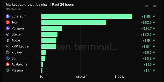 A bar chart titled 'Market cap growth by chain | Past 24 hours' for Stablecoins, led by Ethereum (+$116.1 M) and Tron (+$82.9 M), followed by Polygon, Stellar, Aptos, XRP Ledger, X Layer, Sui, Avalanche, and Plasma.