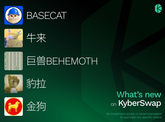 A dark green graphic titled 'What's new on KyberSwap' listing new tokens with icons: BASECAT (cat in hard hat), 牛来 (yellow creature), 巨兽BEHEMOTH (server rack), 豹拉 (leopard), and 金狗 (golden dog logo), with a disclaimer 'No investment advice or recommendation to purchase any specific tokens.'