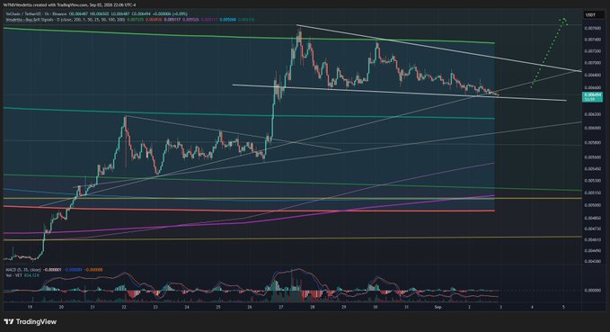 A TradingView chart showing VET/USDT price action with technical analysis lines and an MACD indicator at the bottom.