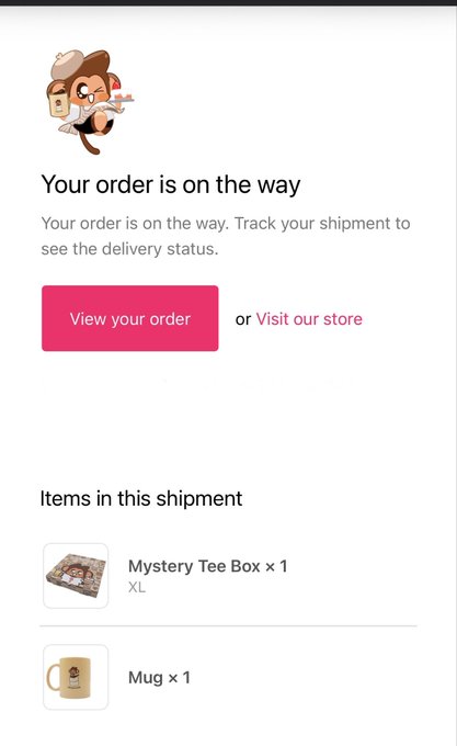 An order confirmation screen stating 'Your order is on the way' with items including a 'Mystery Tee Box' (XL) and a 'Mug', featuring a cowboy mascot illustration.