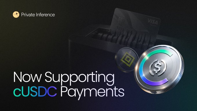 A promotional graphic reading 'Now Supporting cUSDC Payments' by 'Private Inference', featuring a Visa card being inserted into a terminal alongside 3D renderings of cryptocurrency tokens.