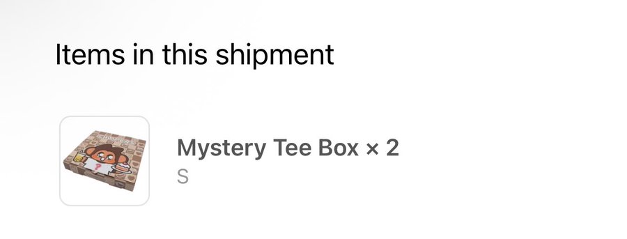A screenshot of an order confirmation showing 'Items in this shipment' with a 'Mystery Tee Box × 2' in size S, featuring a cartoon dog character on the packaging.