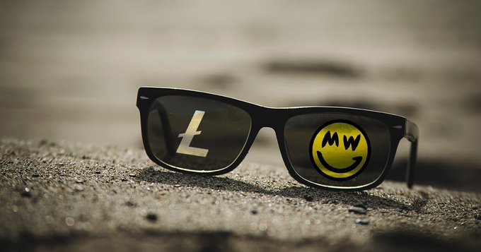 Black sunglasses resting on wet pavement, with one lens reflecting the Litecoin 'Ł' symbol and the other reflecting a smiley face with 'MW' on it.