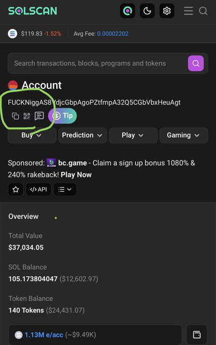 A screenshot of the Solscan blockchain explorer showing an account named 'FUCKNiggaAS8YdJCgbpAgoPZtfmpA32Q5CGbVbxHeuAgt' with 105 SOL ($12,602.97) and 140 tokens, with the account name circled in green.