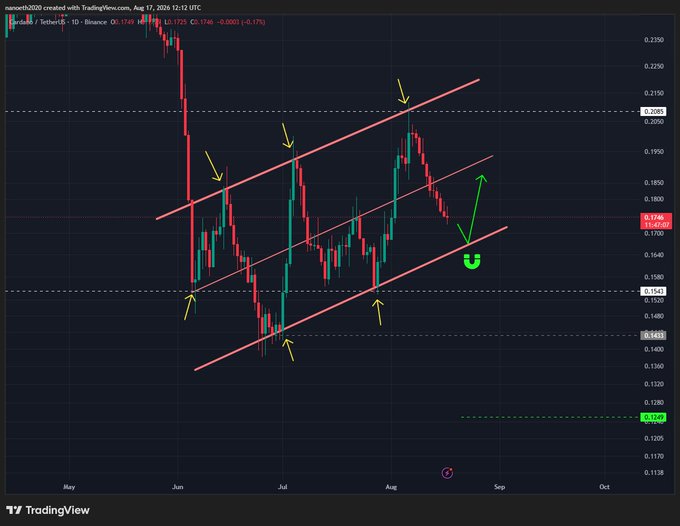 A TradingView candlestick chart of ADA/USDT on Binance shows a descending parallel channel (bear flag) pattern forming between roughly $0.143 and $0.220, with yellow arrows marking key touches along the channel boundaries and a green "U" symbol near $0.167 indicating a potential bounce zone. The chart visually reinforces the post's analysis of a bear flag with critical support near $0.167, upside targets at $0.19 and $0.21, and downside risks at $0.143 and $0.125.