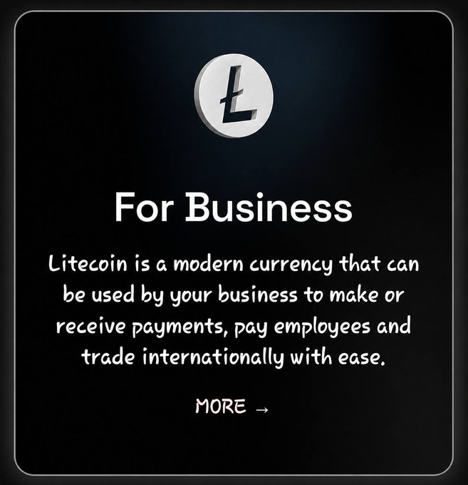 A promotional graphic for Litecoin For Business, featuring the Litecoin logo and text: 'Litecoin is a modern currency that can be used by your business to make or receive payments, pay employees and trade internationally with ease.' with a 'MORE' link.