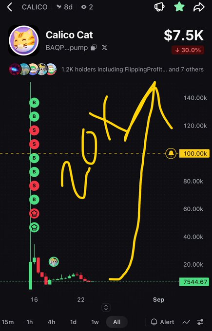 A cryptocurrency tracking app showing the 'Calico Cat' token (BAQP...pump) with a current value of $7.5K and a 30% decrease, featuring a price chart with handwritten yellow 'NOT W' text.