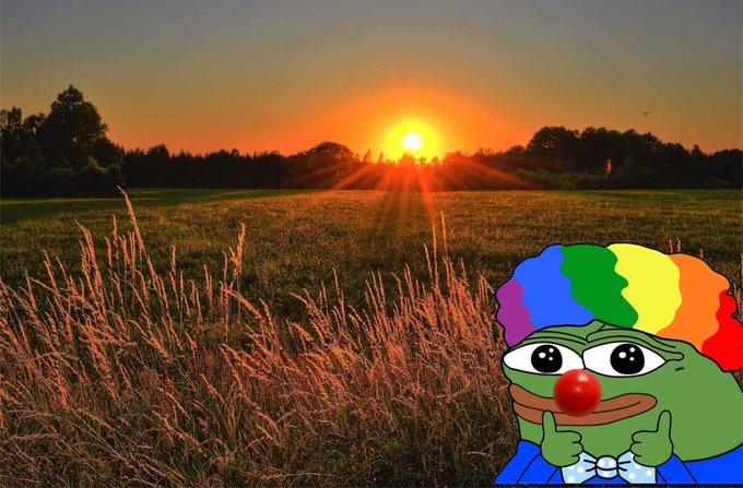 A landscape photo of a sunset over a grassy field with a Pepe the Frog meme character in the bottom right corner wearing a rainbow-colored wig.