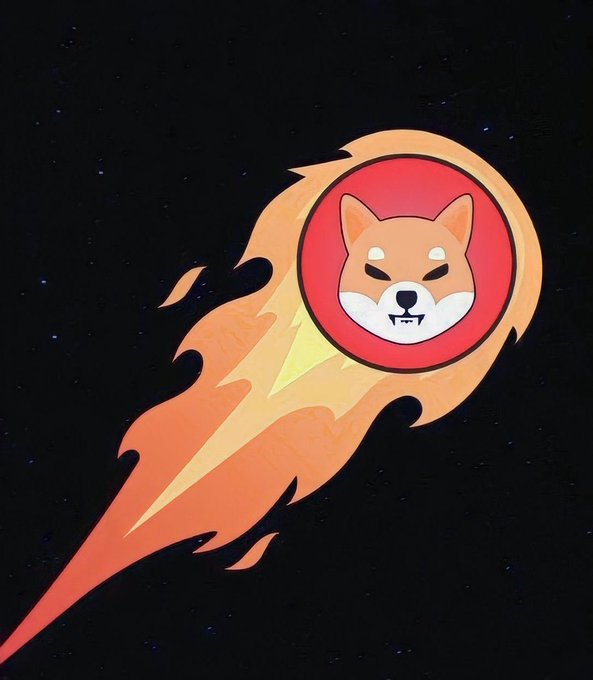 An illustration of a Shiba Inu dog inside a red circle with a flaming meteor/comet tail against a dark starry background, resembling the Doge/Shiba meme.