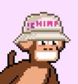 A pixel art illustration of a brown monkey-like character wearing a white bucket hat with pink text reading 'CHIMP' against a light purple background.