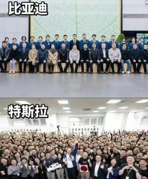The image presents a comparison between two groups, with the top photo labeled "比亚迪" (BYD) showing a neatly arranged group of people in formal attire, while the bottom photo labeled "特斯拉" (Tesla) displays a large, lively crowd in casual clothing, capturing the contrasting corporate cultures between the two companies.