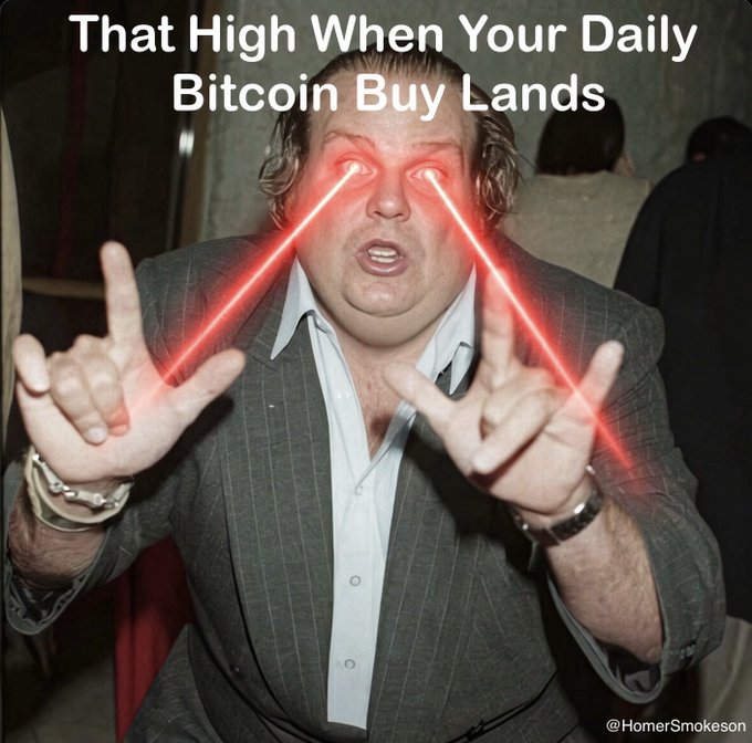A meme featuring a man in a suit with red laser beams shooting from his eyes, captioned 'That High When Your Daily Bitcoin Buy Lands' and watermarked '@HomerSmokeson'.