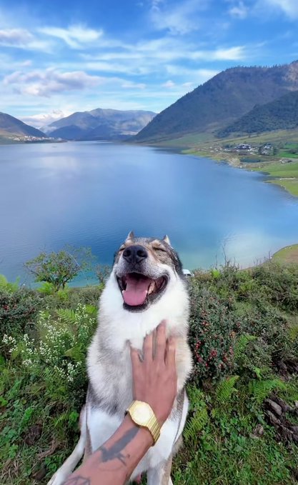 A happy husky dog sits on a hillside with a person's hand resting on its chest, overlooking a stunning turquoise lake surrounded by mountains under a blue sky with scattered clouds.