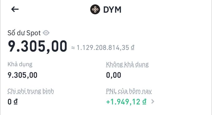 A Vietnamese-language cryptocurrency wallet interface for DYM showing a spot balance of 9,305.00 DYM (approximately 1,129,208,814.35 đ) with a daily PNL of +1,949.12 đ.