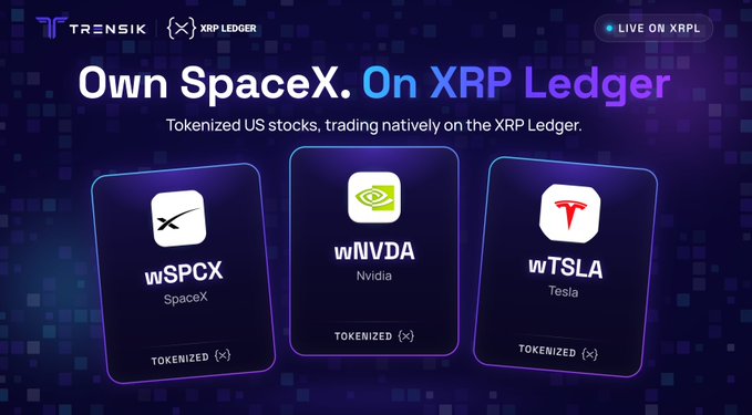 A promotional graphic for tokenized US stocks on the XRP Ledger displays 'Own SpaceX. On XRP Ledger' with cards for wSPCX (SpaceX), wNVDA (Nvidia), and wTSLA (Tesla).