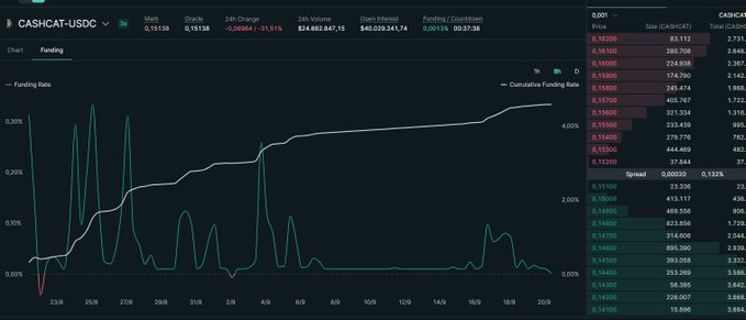 A financial dashboard displays CASHCAT-USDC funding rate data with a chart, order book, and market statistics.