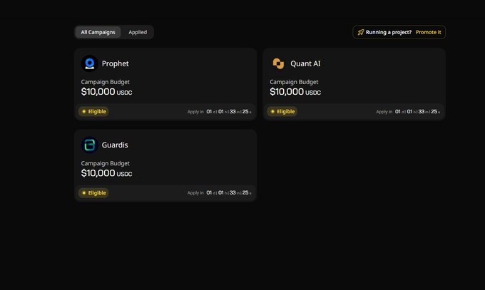 The main visual element of this image is a screenshot of an online campaign management system, displayed against a black background. The system displays three different campaigns with various budgets, including $10,000, $100,000, and $1M. Additionally, there are two columns labeled "Campaign Name" at the top and "Costumes" at the bottom.