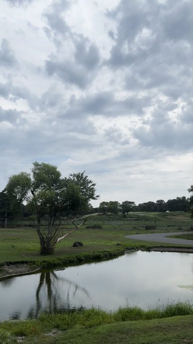 A serene landscape showing a calm pond reflecting a cloudy sky, bordered by green grass, trees, and a winding paved path.