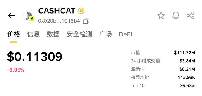 A cryptocurrency price page for CASHCAT (0x020b...1018b4) showing a price of $0.11309, down 8.85%, with a market cap of $111.72M and 24-hour volume of $3.84M.