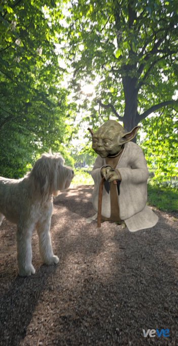 An AR rendering of a Star Wars Yoda statue meeting a dog in a park, marked with the VeVe logo.