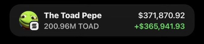A screenshot shows a crypto wallet display for "The Toad Pepe" token (TOAD), showing a balance of 200.96M TOAD valued at $371,870.92, with an impressive gain of +$365,941.93 in green. The image serves as visual proof of the massive profit claim made in the accompanying giveaway post, which promotes @Zikkodegen as having turned $990 into $371K.