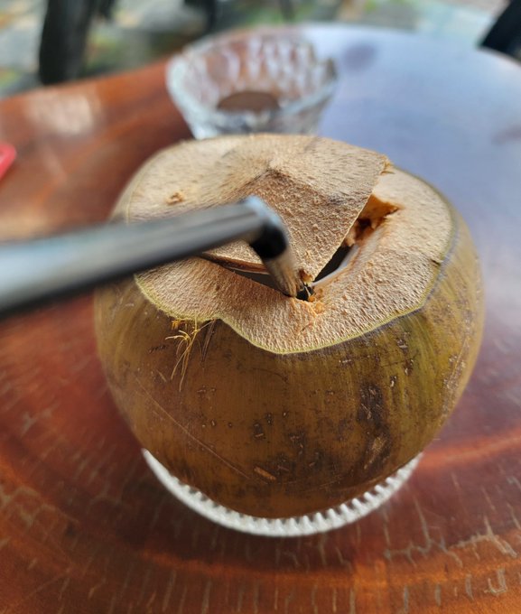 A fresh coconut being cracked open with a tool, paired with a casual reflection on life pivots and asking crypto enthusiasts what they'd pursue if regulations pushed them out of the industry.
