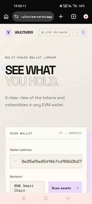 Mobile screenshot of the VaultsView multi-chain wallet lookup tool showing a 'See what you hold' feature with an example BNB Smart Chain wallet address entered for scanning assets.