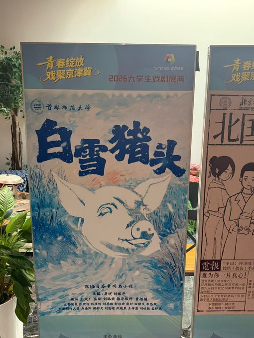 A poster for a 2026 college student drama festival features a blue watercolor-style illustration of a pig with the Chinese title '白雪猪头' (White Snow Pig's Head) from Capital Normal University.