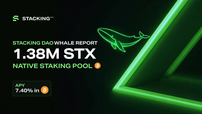 A promotional graphic from Stacking DAO highlighting a "Whale Report" that shows 1.38M STX staked in their Native Staking Pool with a 7.40% APY, featuring a neon green whale illustration that reinforces the "whale" theme of large-scale staking activity referenced in the post.