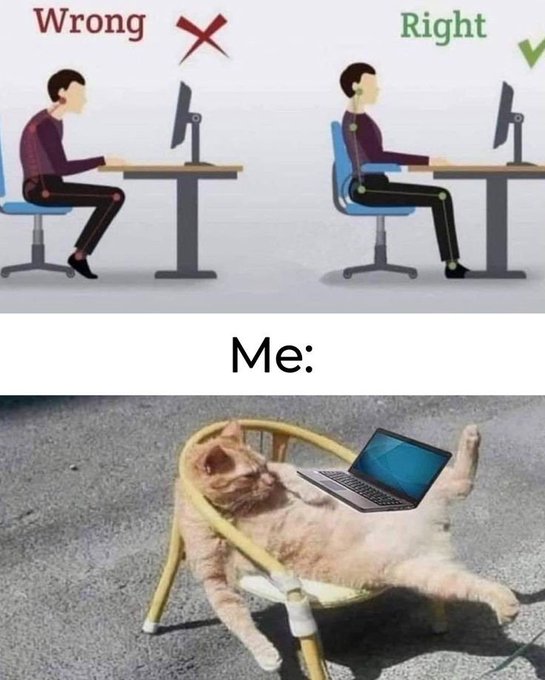 A meme showing ergonomic sitting posture comparisons labeled 'Wrong' and 'Right,' with a 'Me:' panel showing a cat lounging in a chair with a laptop on its belly.