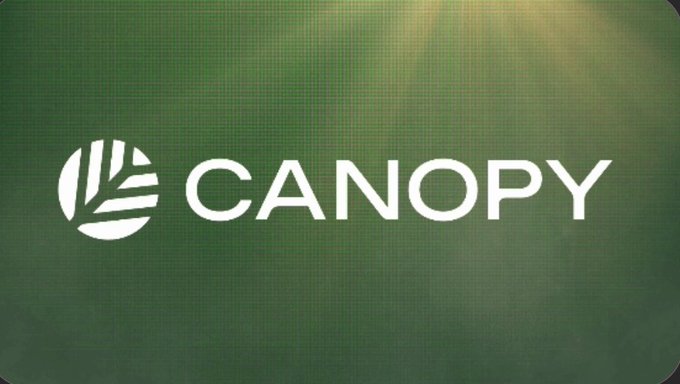 The white "CANOPY" logo and a tree icon displayed on a dark green background with light rays from above.