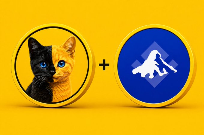 Two circular coins sit against a yellow background: the left features a black-and-orange split-faced cat ($BICAT) and the right displays the Robinhood logo with a silhouette of a person sweeping ($QQQB), separated by a plus sign symbolizing the tokenized-stock cat token pairing launched on BNB.