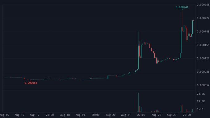 A candlestick price chart displays a cryptocurrency's value rising from a low of 0.000068 to a high of 0.000241 between August 15 and August 23.