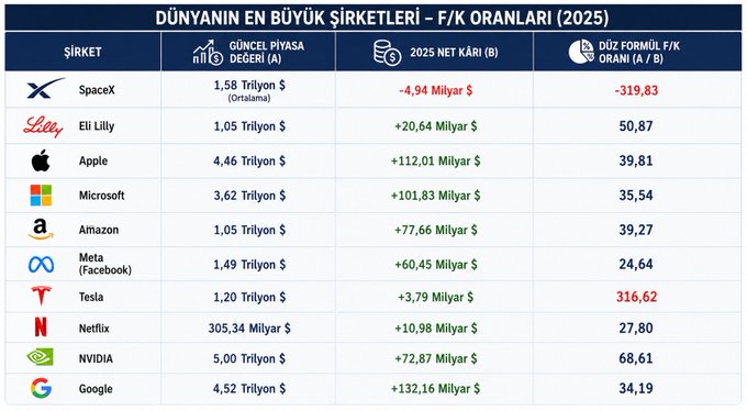 The image displays a table titled "DÜNYANIN EN BÜYÜK ŞİRKETLERİ – F/K ORANLARI (2025)" showing the P/E ratios of the world's largest companies, including SpaceX (-319.83), Eli Lilly (50.87), Apple (39.81), Microsoft (35.54), Amazon (39.27), Meta (24.64), Tesla (316.62), Netflix (27.80), NVIDIA (68.61), and Google (34.19), along with their market values and 2025 net profits. The table supports the post's argument that Borsa İstanbul is not expensive by highlighting the high P/E ratios of major global stocks, some of which are comparable to or exceed typical Borsa İstanbul valuations, questioning what the actual problem with the Turkish market is.