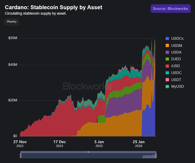 A stacked area chart titled 'Cardano: Stablecoin Supply by Asset' shows the growth of circulating stablecoins from late 2022 to 2026, breaking down assets like USDCx, USDM, USDA, DJED, and IUSD, sourced from Blockworks.