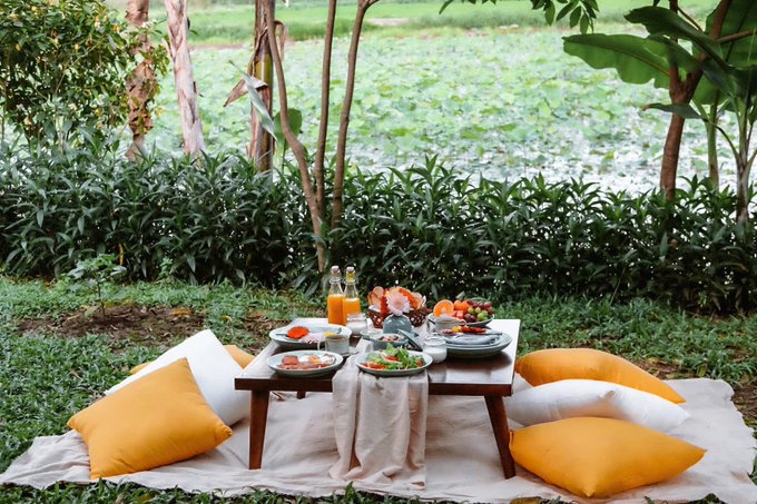 An outdoor picnic setup on grass features a low wooden table laden with food, flanked by yellow and white pillows, with green foliage and a field in the background.