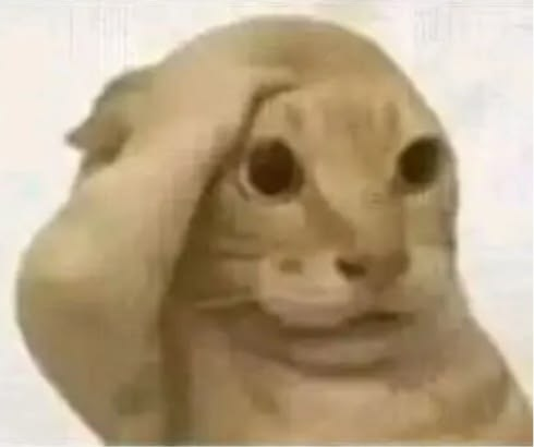A grainy, low-resolution image of a small animal, possibly a lizard or frog, with large dark eyes staring directly at the camera while resting its head on a curved surface.