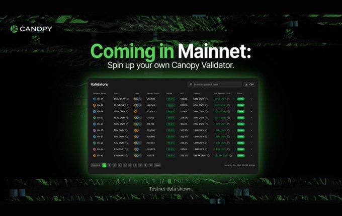 A promotional banner for Canopy announcing 'Coming in Mainnet: Spin up your own Canopy Validator,' displaying a table of validators with various performance metrics and testnet data.