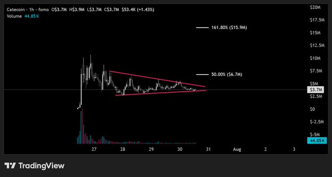 A TradingView chart showing the Catcoin 1-hour chart (fomo ticker) with price at 553.4K (+1.43%), displaying a descending triangle pattern with volume at 44.85K and Fibonacci retracement levels at 161.80% and 50.00%.