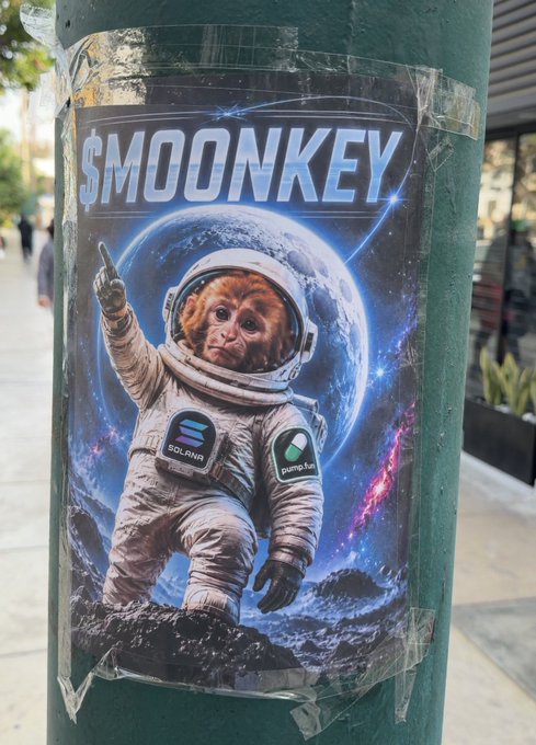 A poster on a green pole advertises "SMOONKEY" with Solana ("SOLANA") and pump.fun logos, depicting an orangutan dressed as an astronaut pointing toward a galactic backdrop with Earth.
