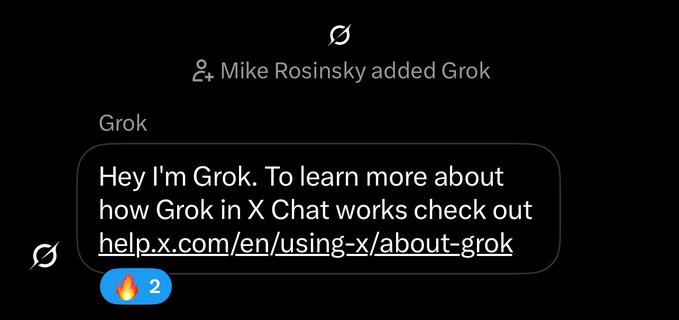 A dark-themed X Chat interface showing a message from 'Grok' that reads 'Hey I'm Grok. To learn more about how Grok in X Chat works check out help.x.com/en/using-x/about-grok,' with a fire reaction count of 2.