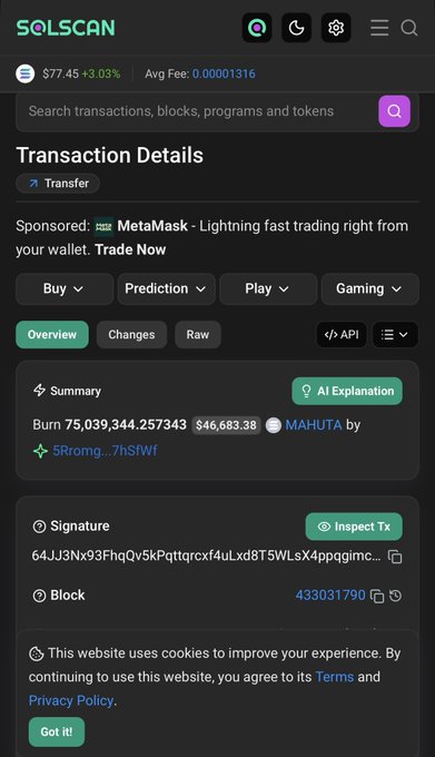 A Solscan transaction details page showing a burn of 75,039,344.257343 MAHUTA tokens (~$46,683.38) from wallet 5Rromg...7hSfWf, reflecting the post's emphasis on MAHUTA's aggressive token burn progress with 20% of supply already permanently removed.